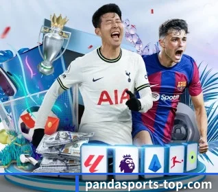 Panda Sports APP