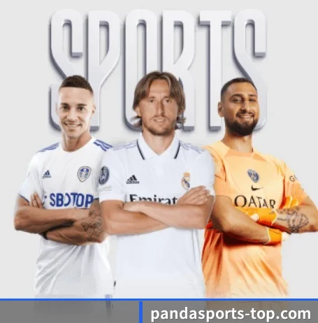 我们在做什么(Panda Sports)
