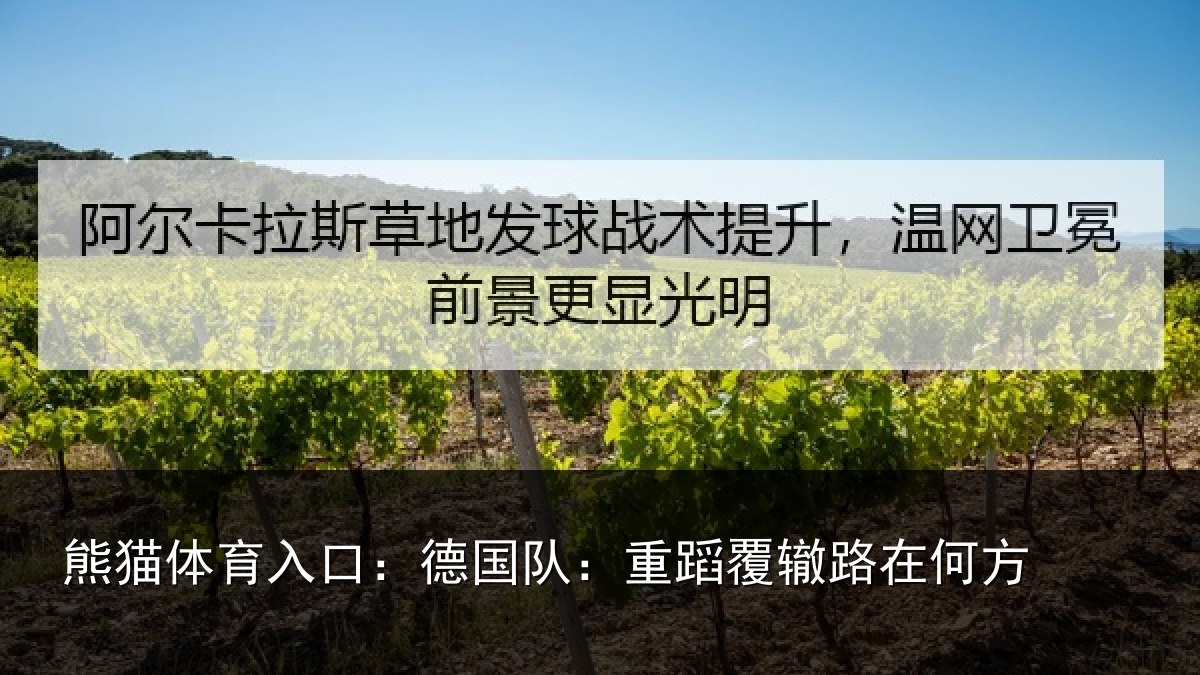 熊猫体育入口：德国队：重蹈覆辙路在何方