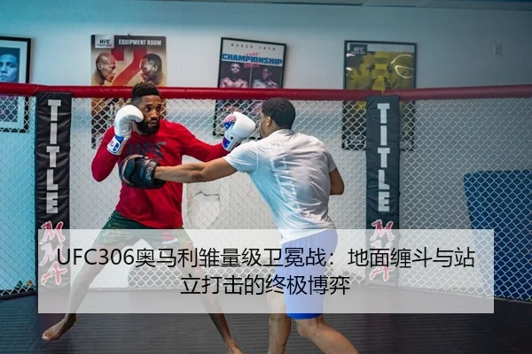 UFC306奥马利雏量级卫冕战：地面缠斗与站立打击的终极博弈