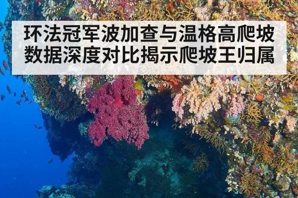 环法冠军波加查与温格高爬坡数据深度对比揭示爬坡王归属