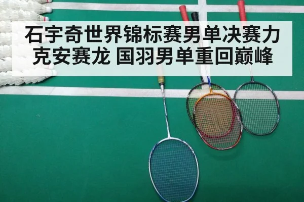 badminton final match